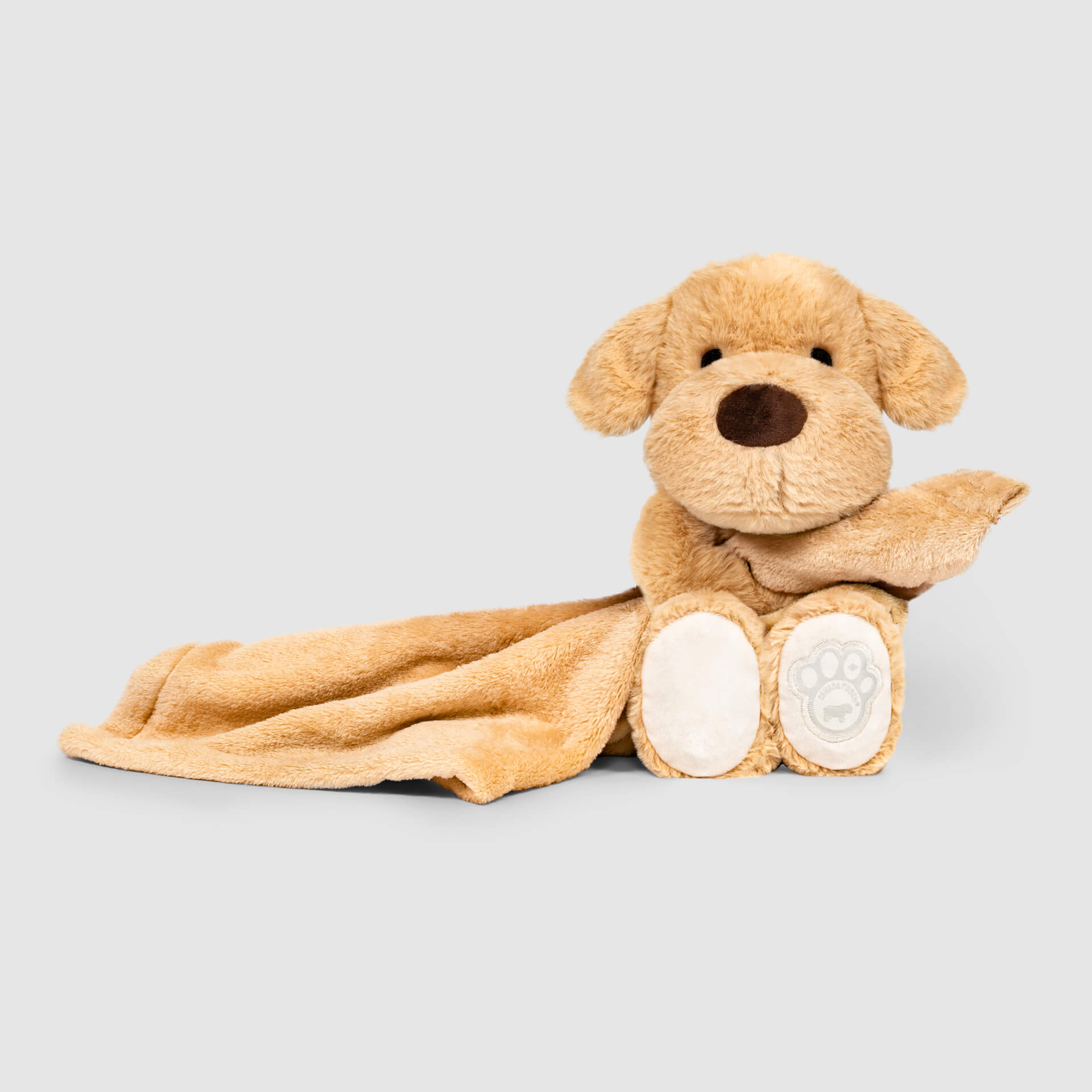 Weighted Calming Toy Y1