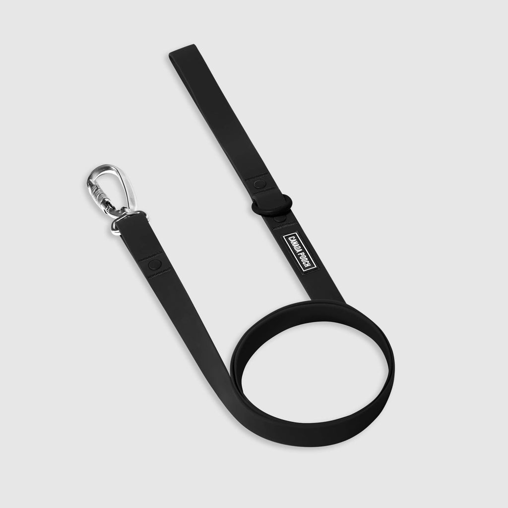Waterproof Leash Q4