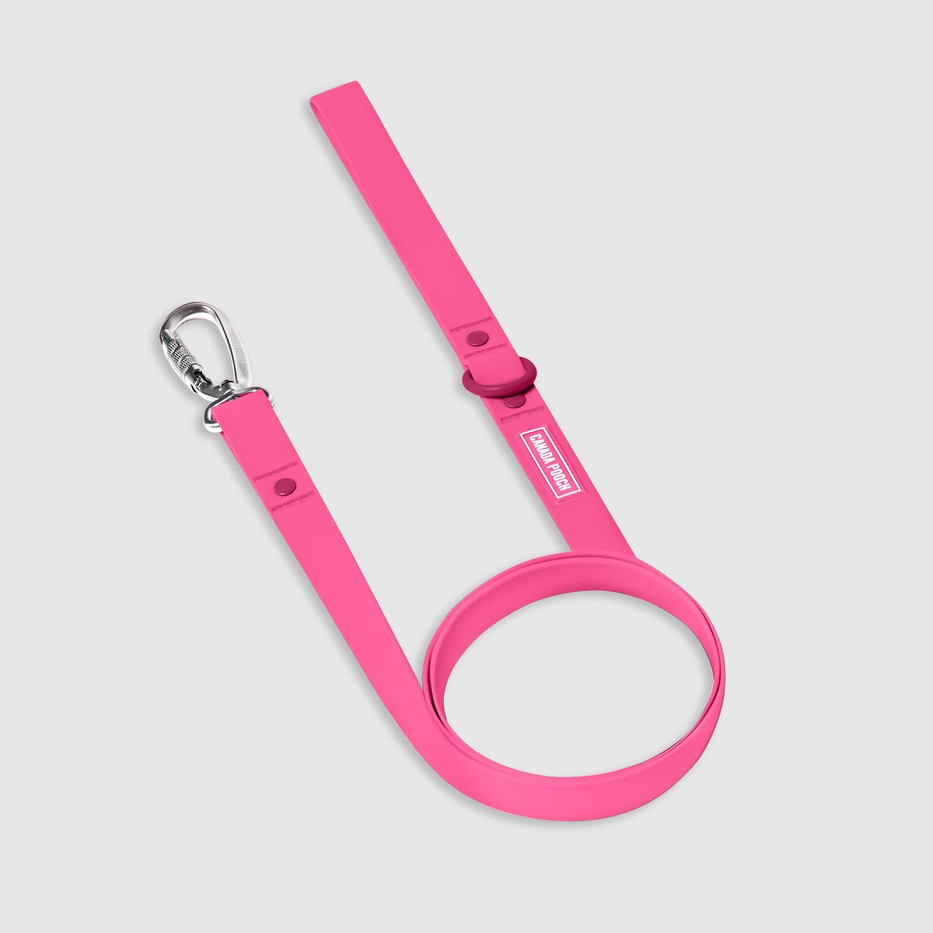 Waterproof Leash Q4