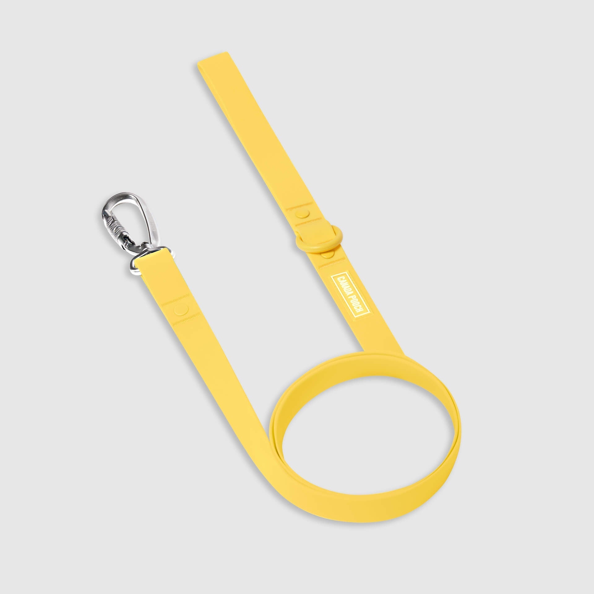 Waterproof Leash Q4
